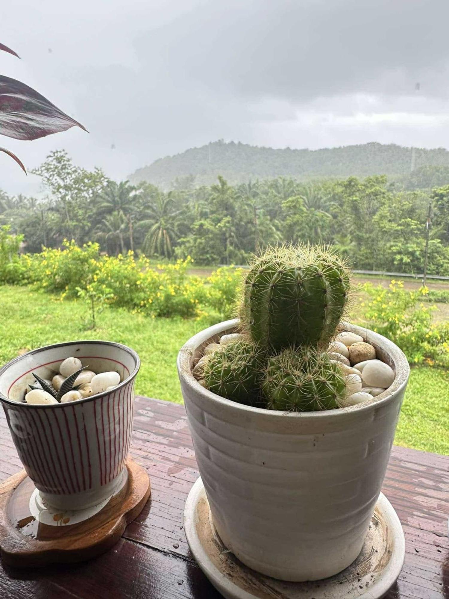 บ้านสวนปิยนันท์ Ko Yao Noi Extérieur photo